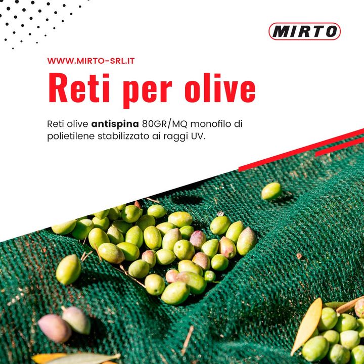 Preparati alla #raccolta delle #olive!🌳

👉 Acquista le nostre #reti #antispina