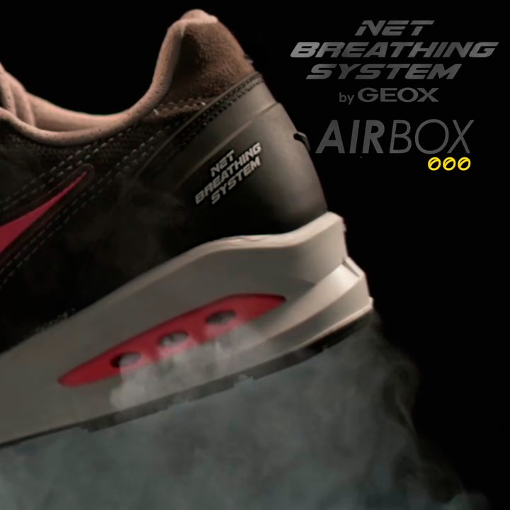 Colora le tue giornate con Run Net Airbox ‼

La scarpa